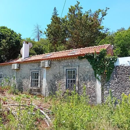 Villa Retiro D'Azenha Almoster Exterior foto