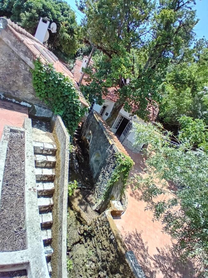 Villa Retiro D'Azenha Almoster Exterior foto
